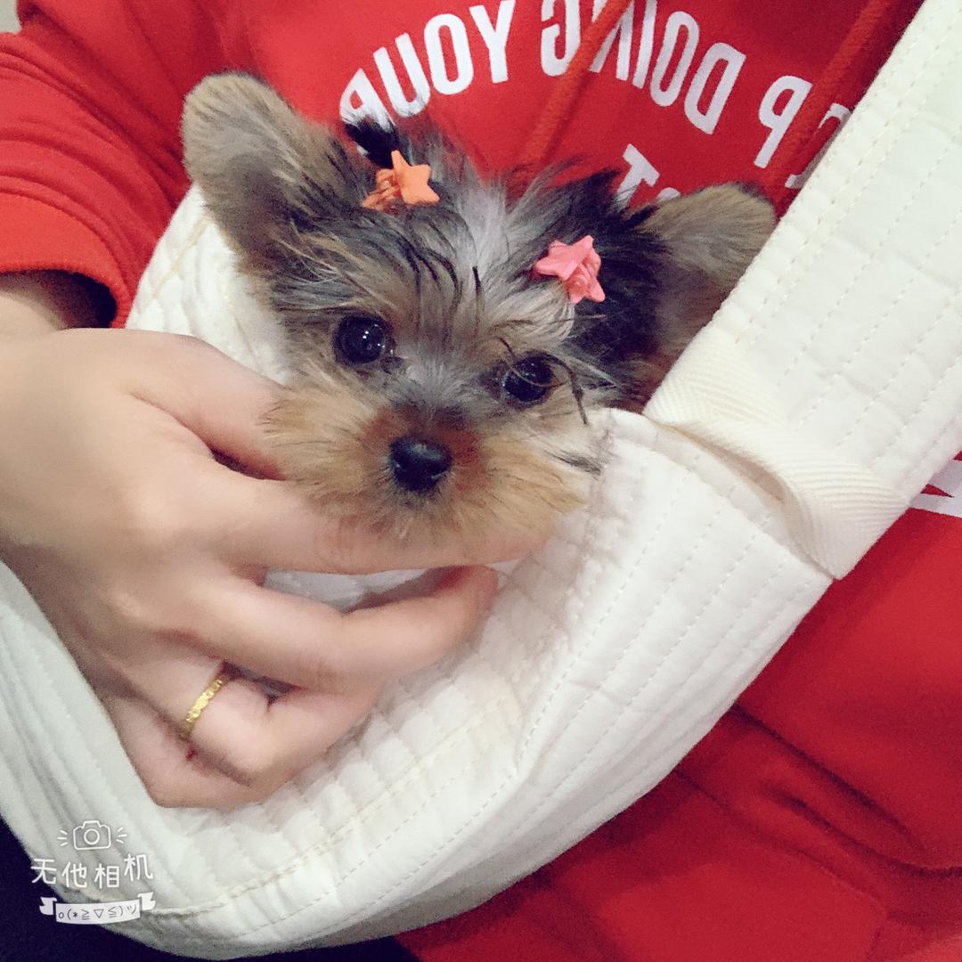 忧灵人间
