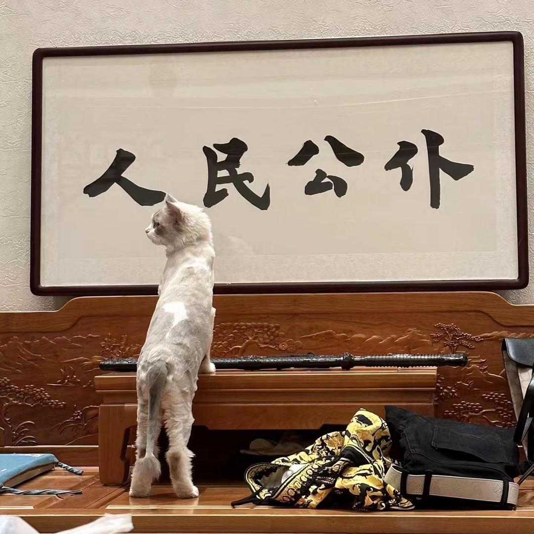 高峰装卸(真实可靠)