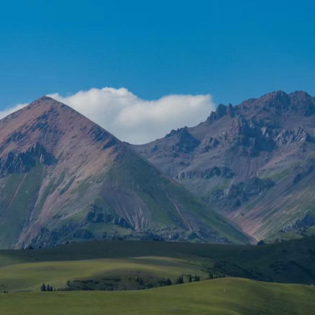 💕笑尽🍒往事💕