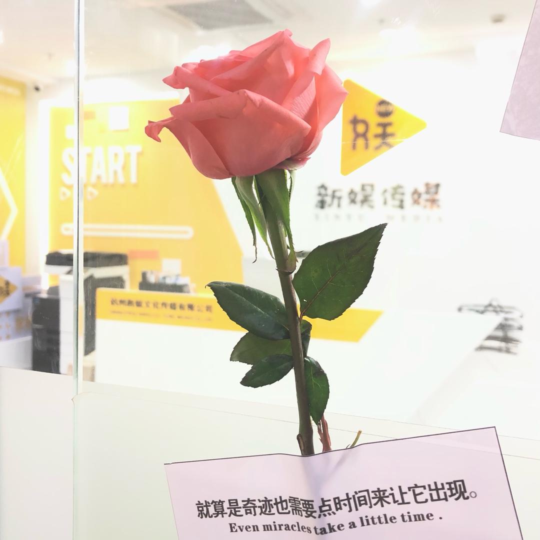都好好的喝
