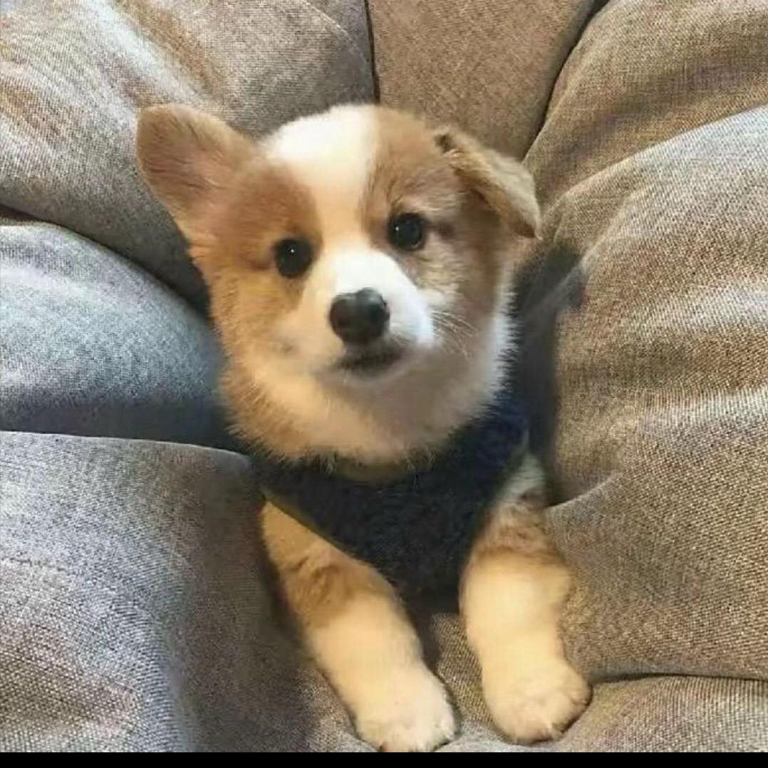 宇 .
