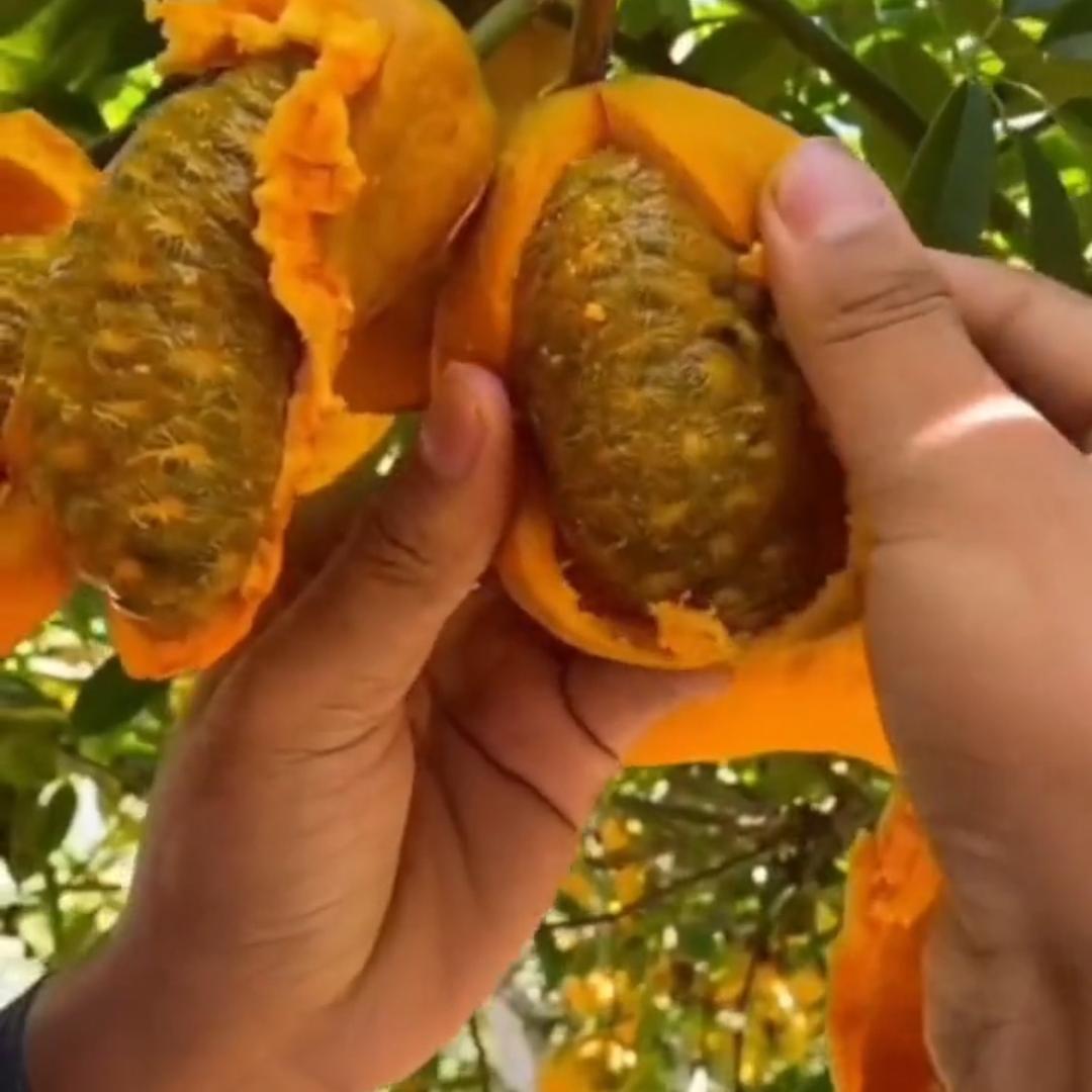 敏一口小酒