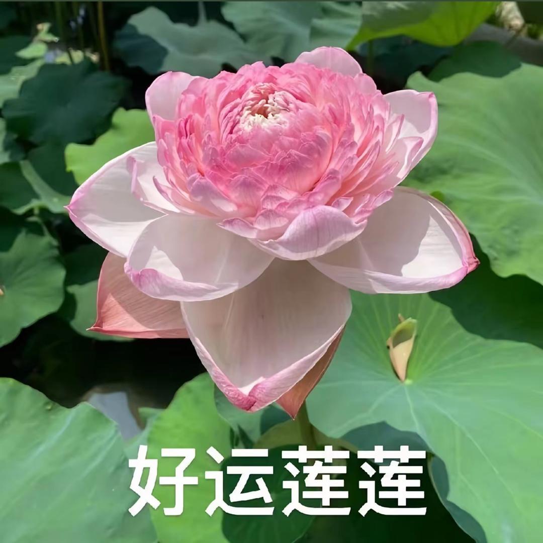 用户538755684425