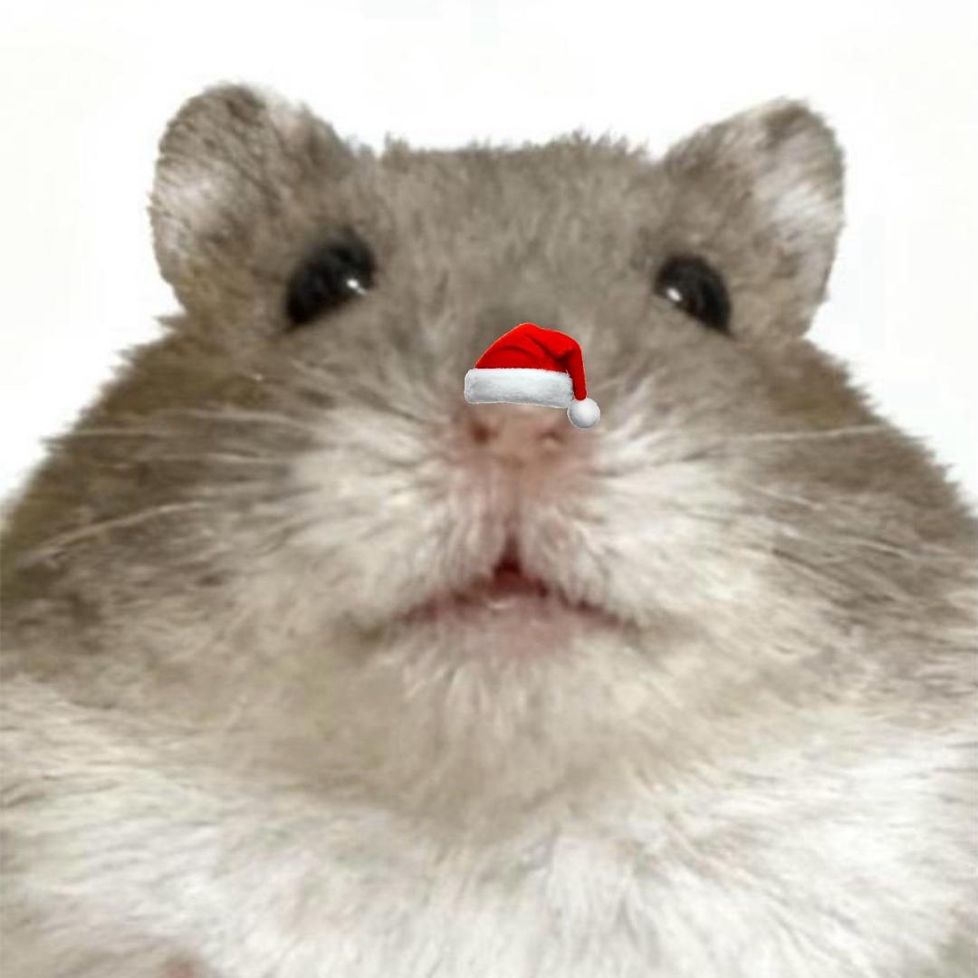 鸡翅鱼被当成金鲳鱼钓走的那个夜晚