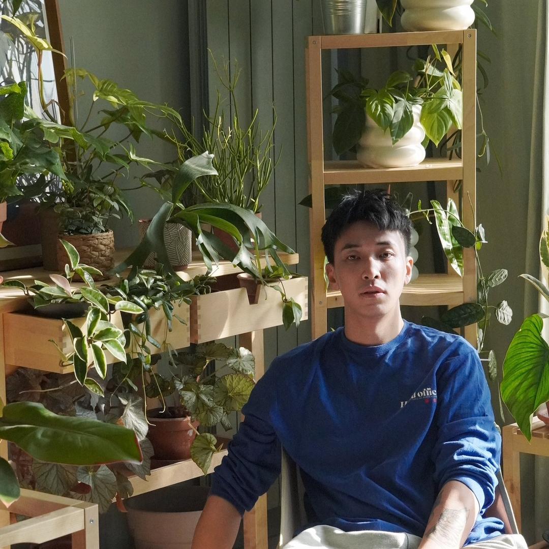 绿植养植大王