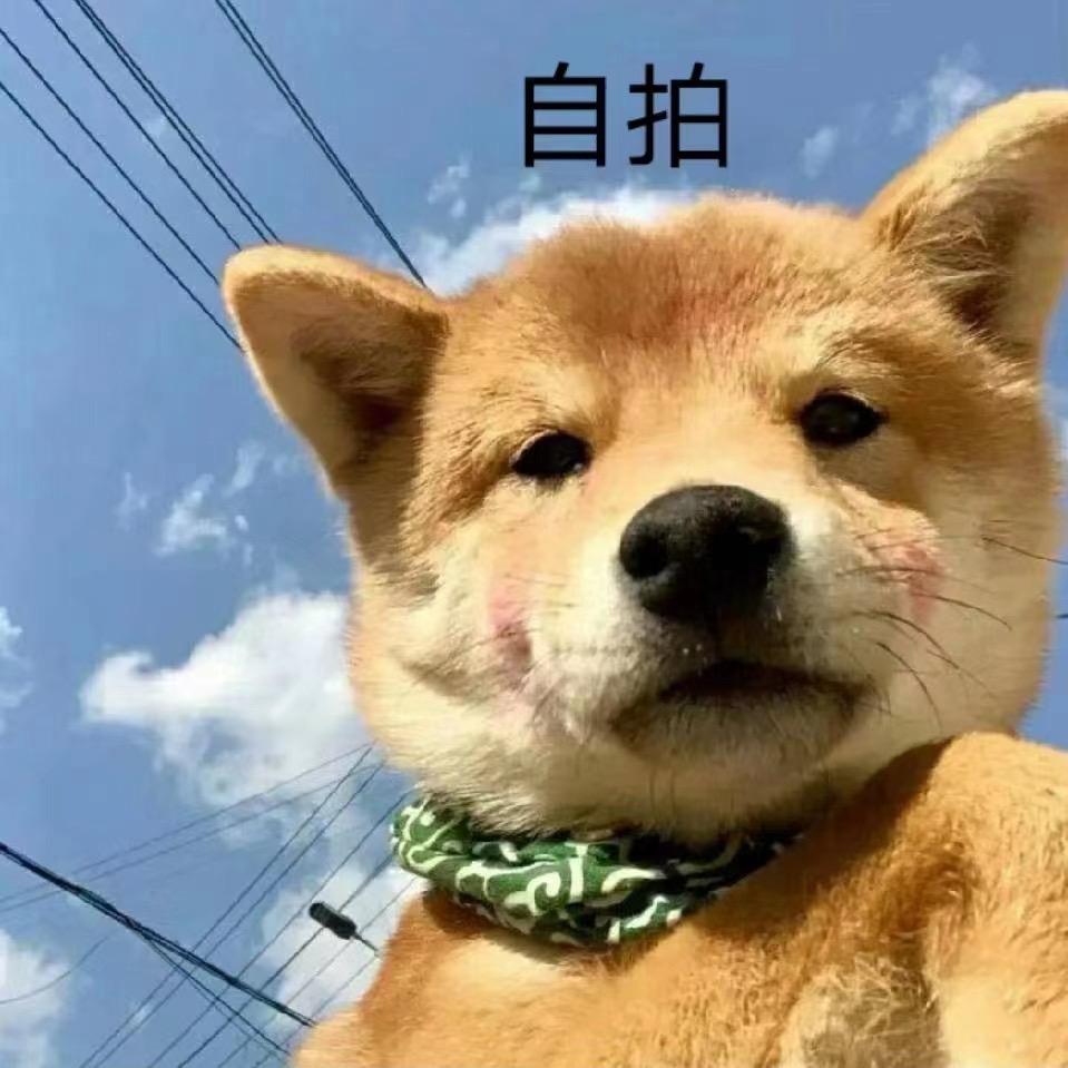 光.