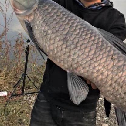 象小途饵料窝料工厂