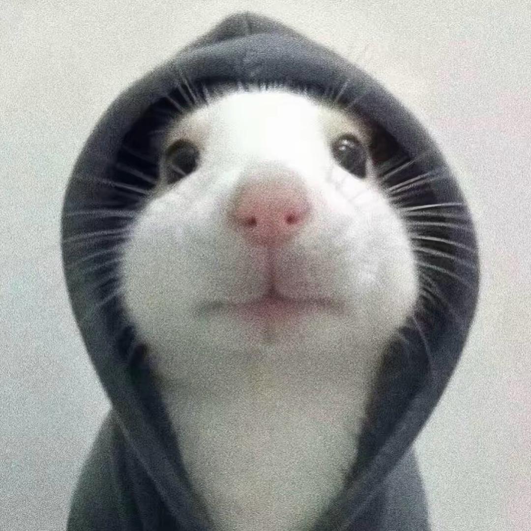 百