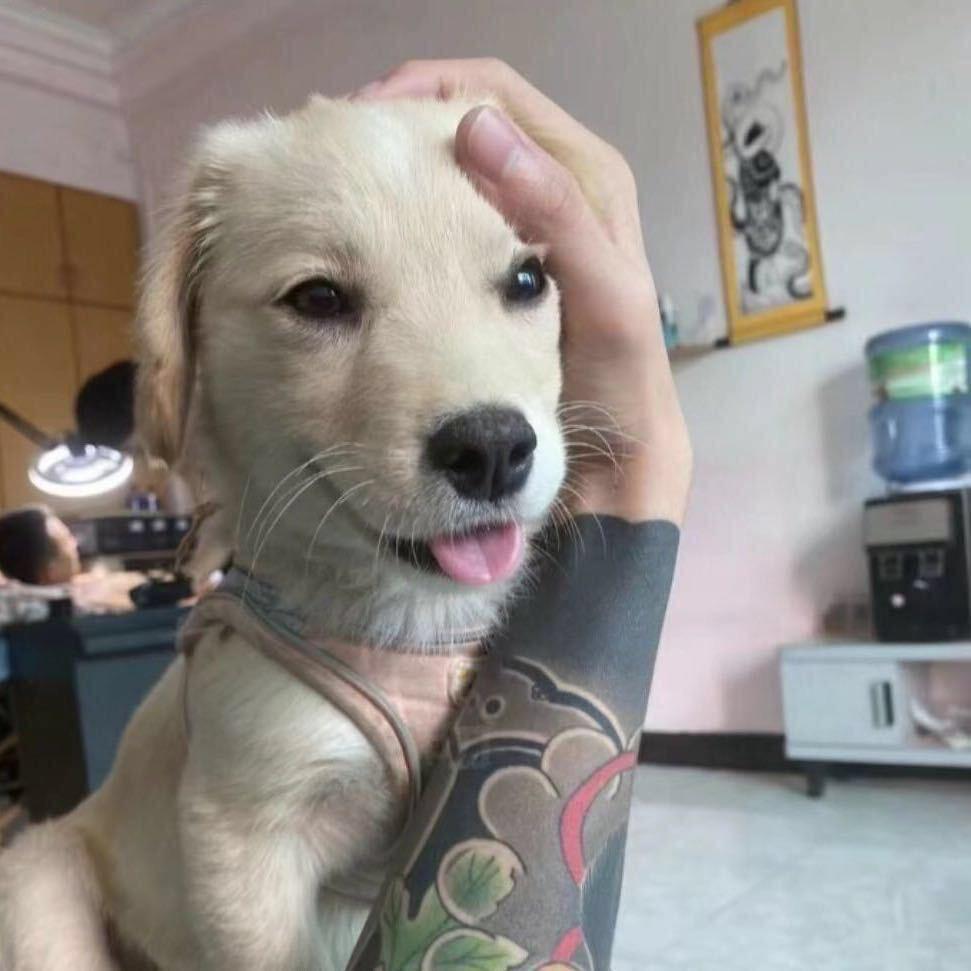 ㅤ老公懂事跟别人跑了