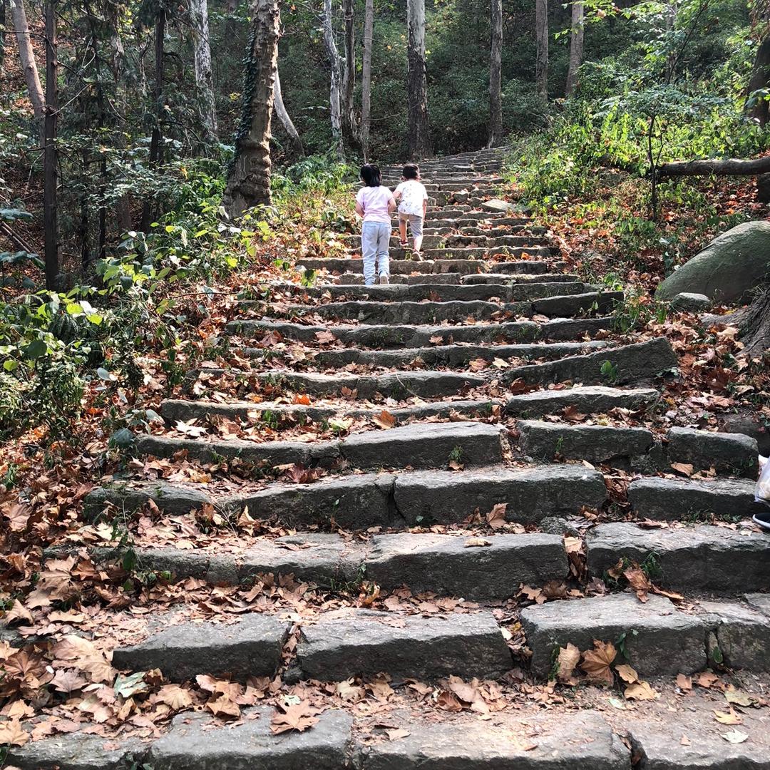 暖阳的冬