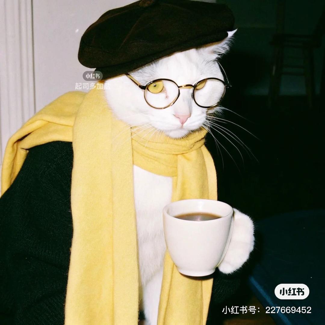 晨晞