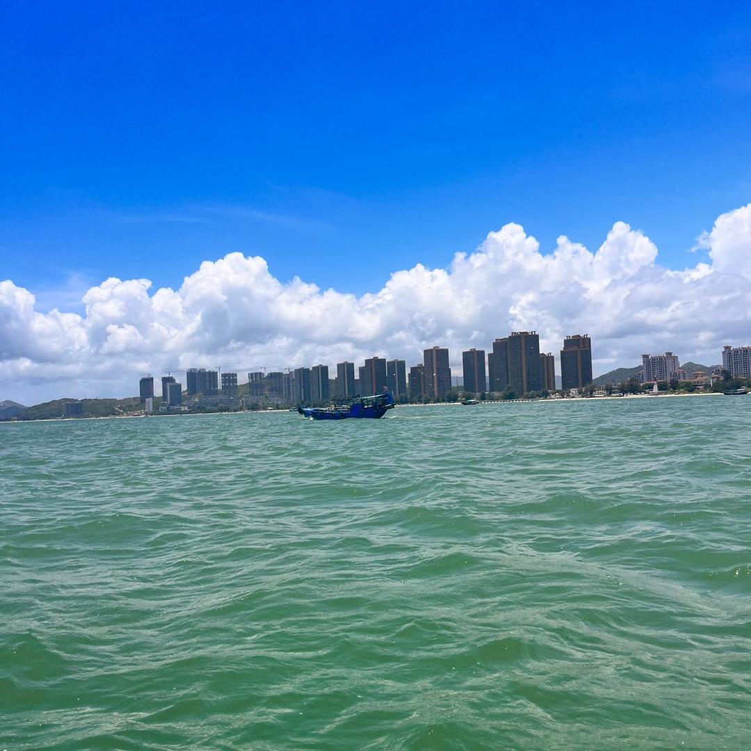 🍓坚丁不移🍓