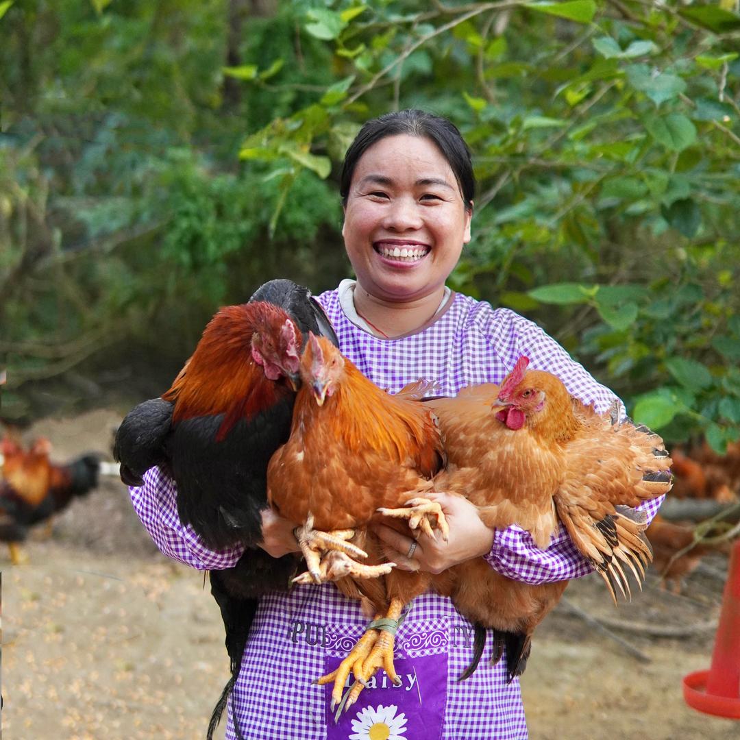 淘姐的山鸡生活