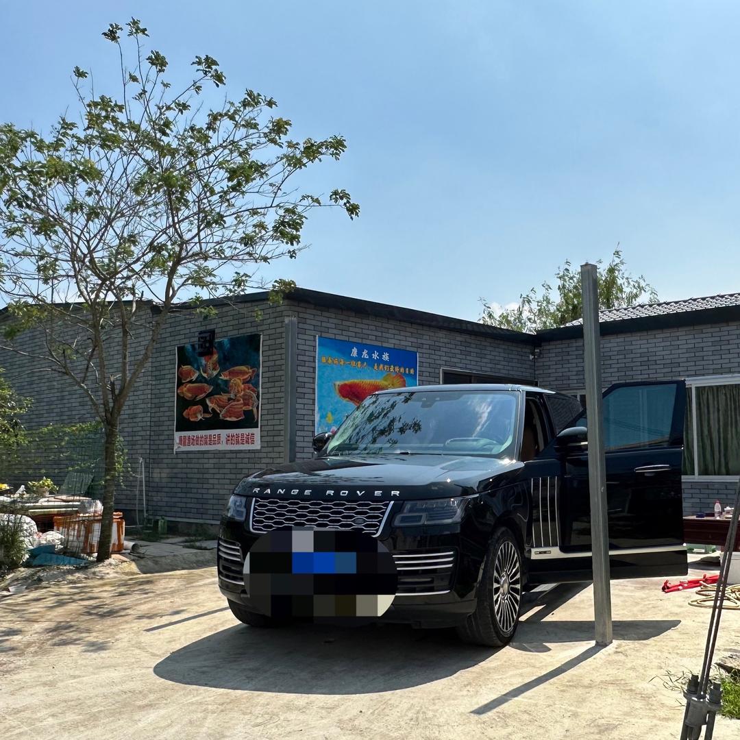 康龍水族观赏鱼龙鱼
