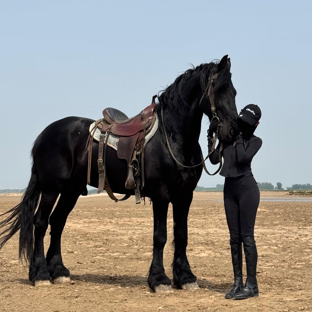 香山马术俱乐部  小美