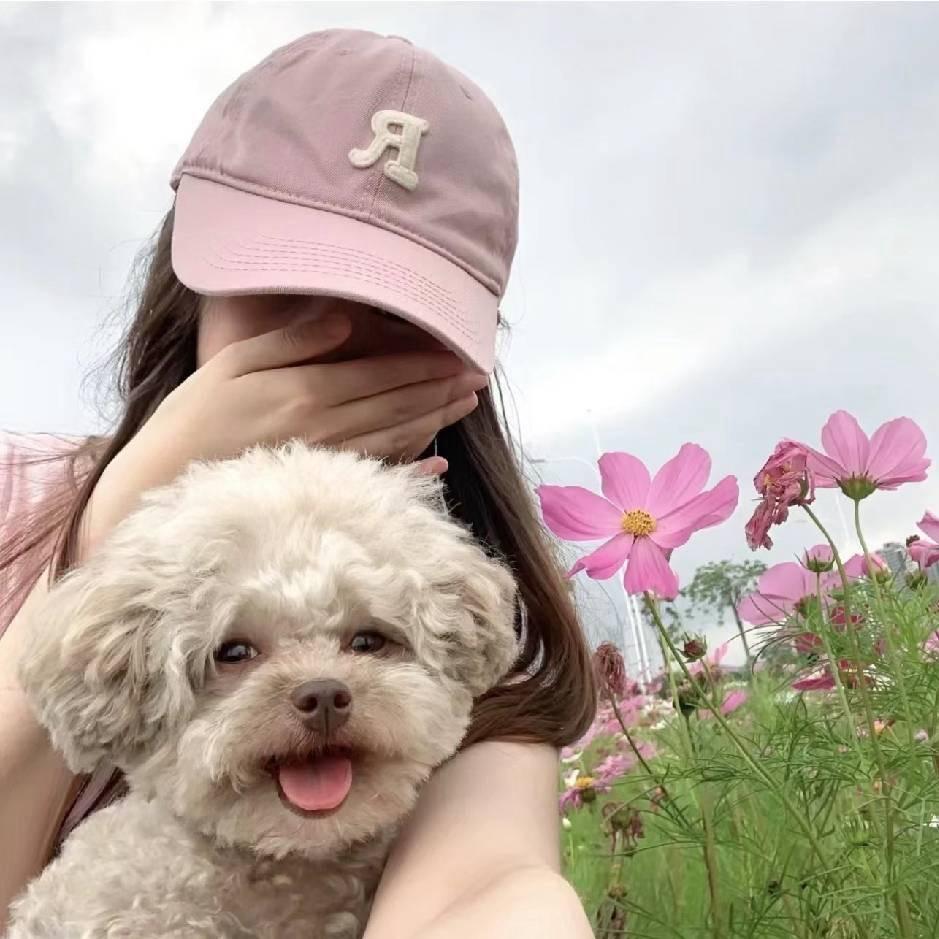 叫醒狗狗啊🐶