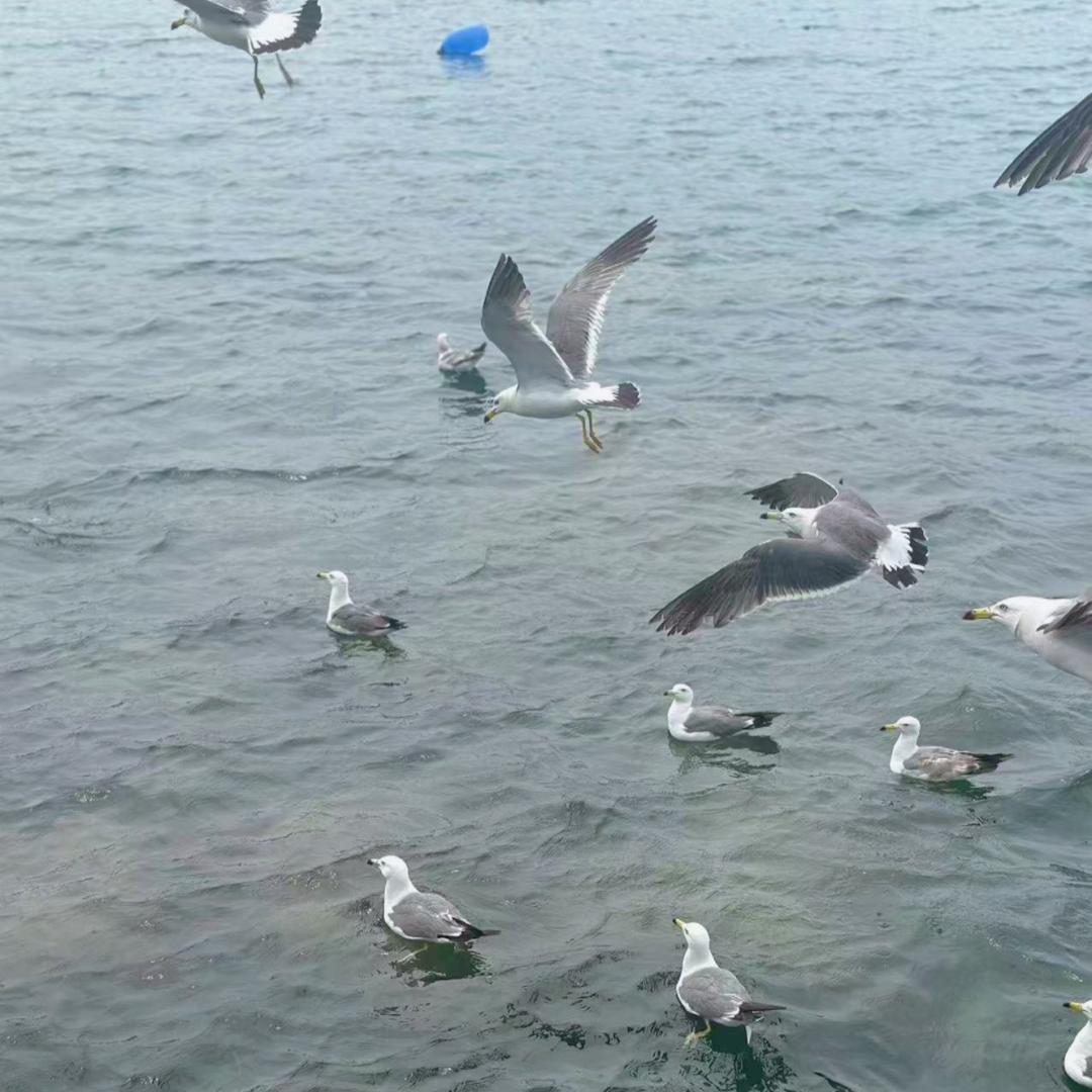 华氏大光明眼镜恒太店