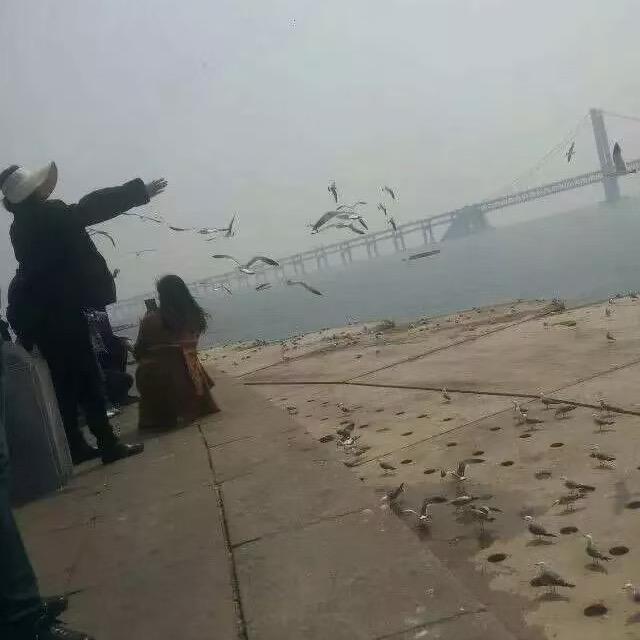 沈阳  龍少