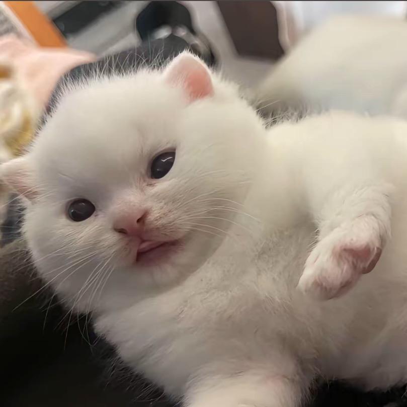 小亞该怎么办