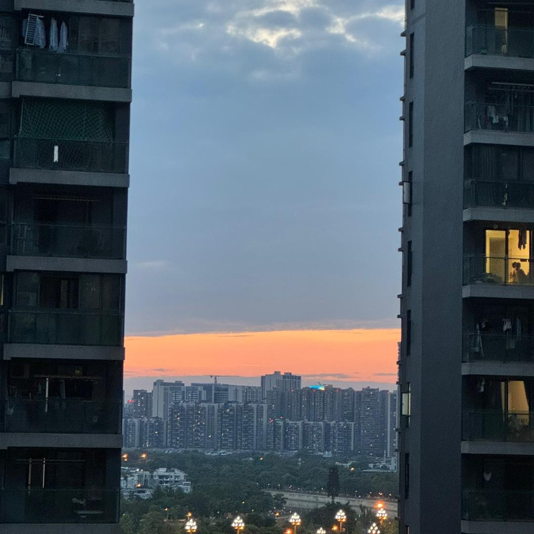 金多虾🥕