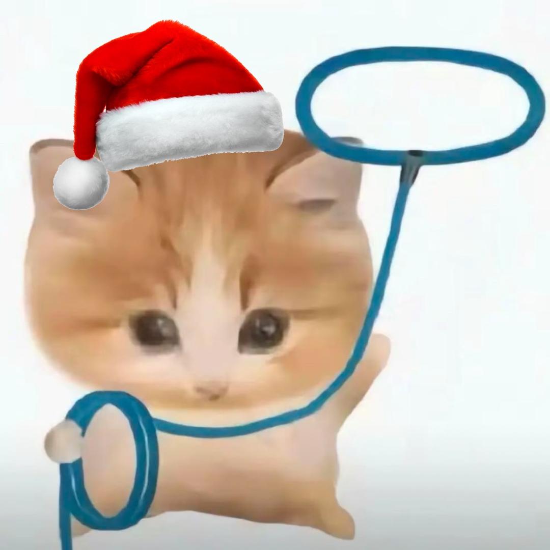 不是美籍华人是华籍美人