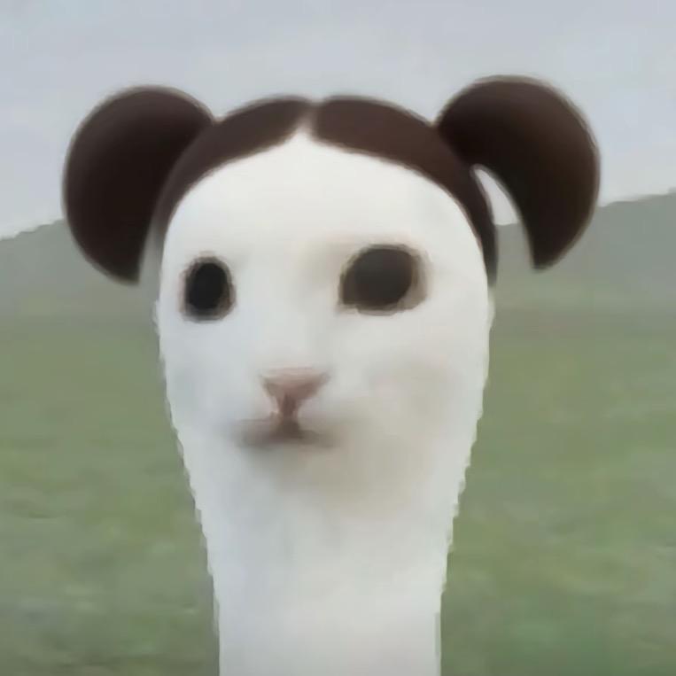 小坚狗狗
