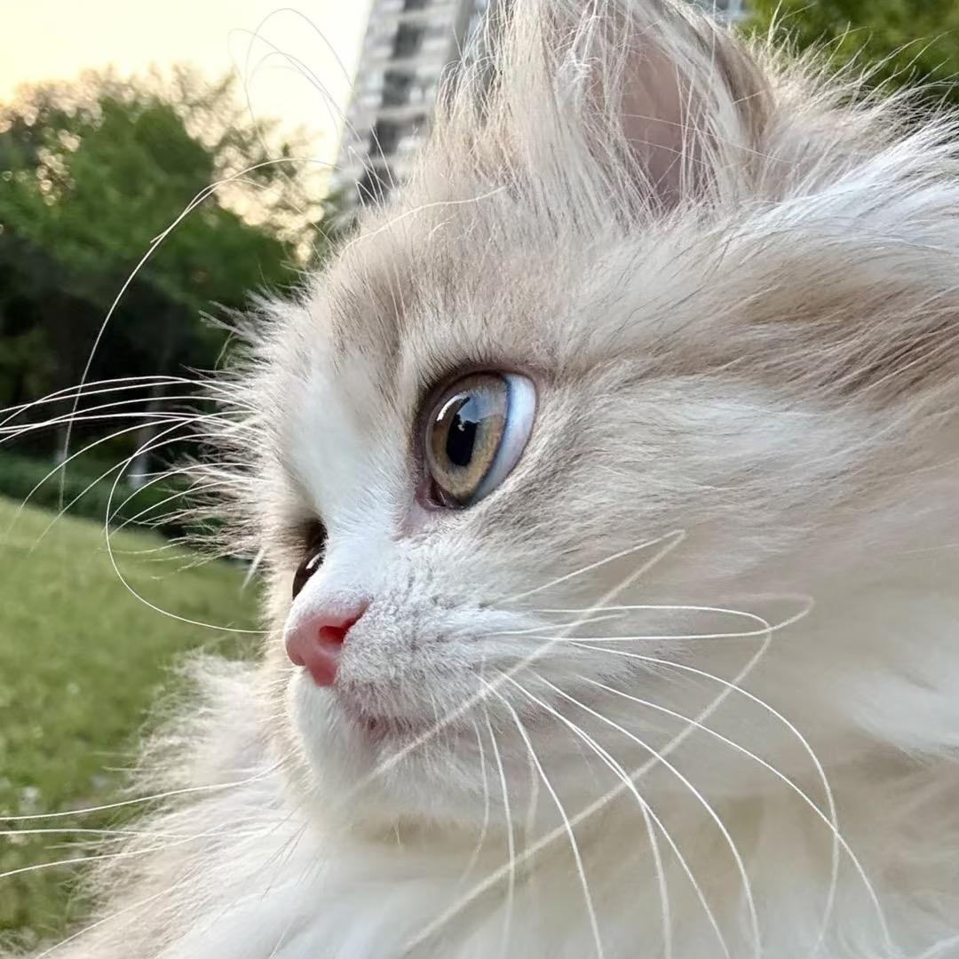 顺风顺水老王