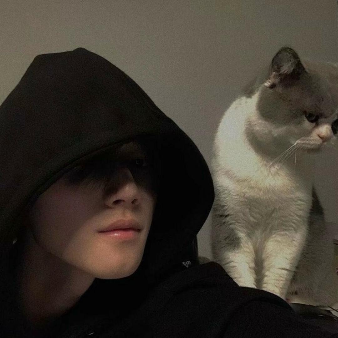 🍅番茄烹饪大师