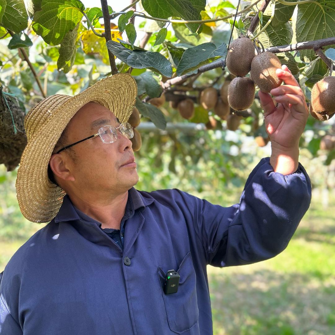 华猕大讲堂kiwi
