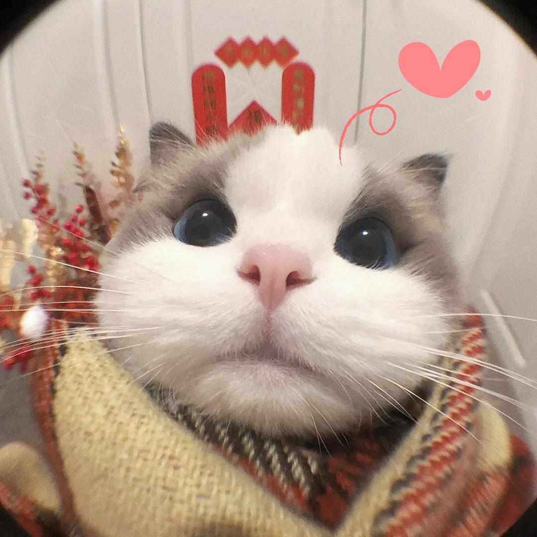 澜杉古琴