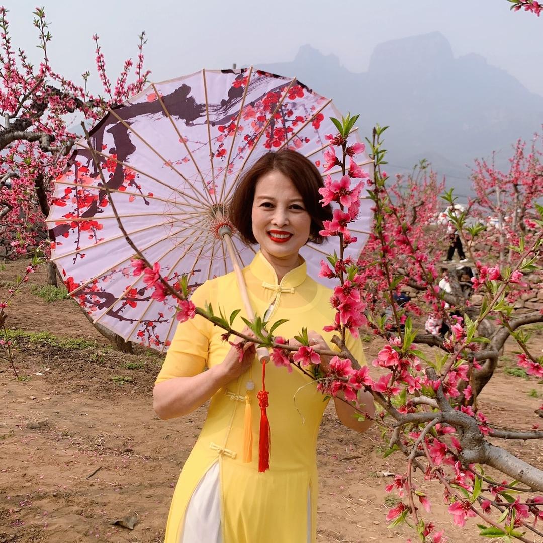 九月菊