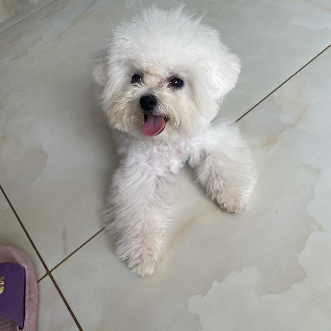 三哥带你逛大集