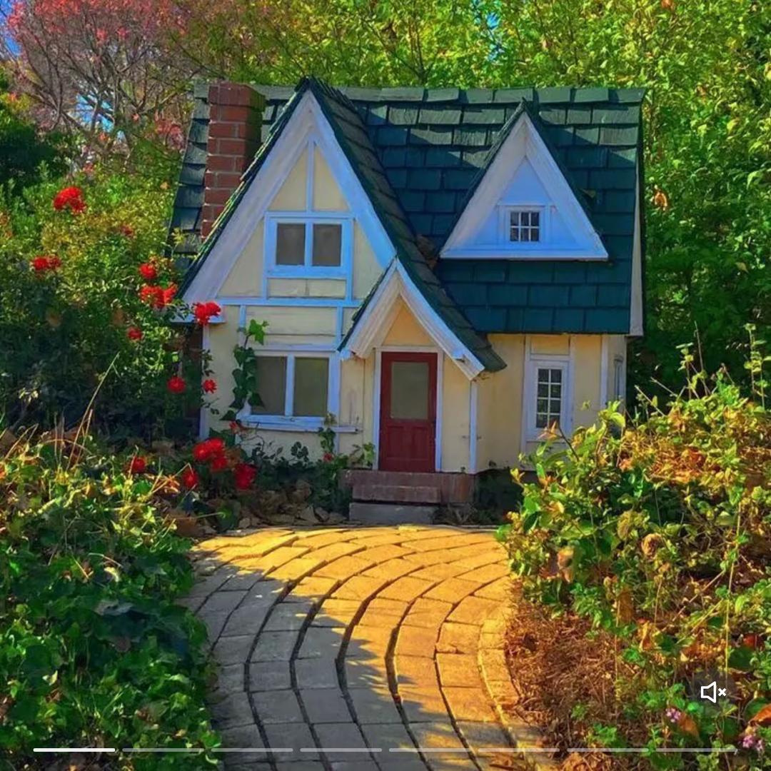 阳阳的小家🏠（装修过程分享）
