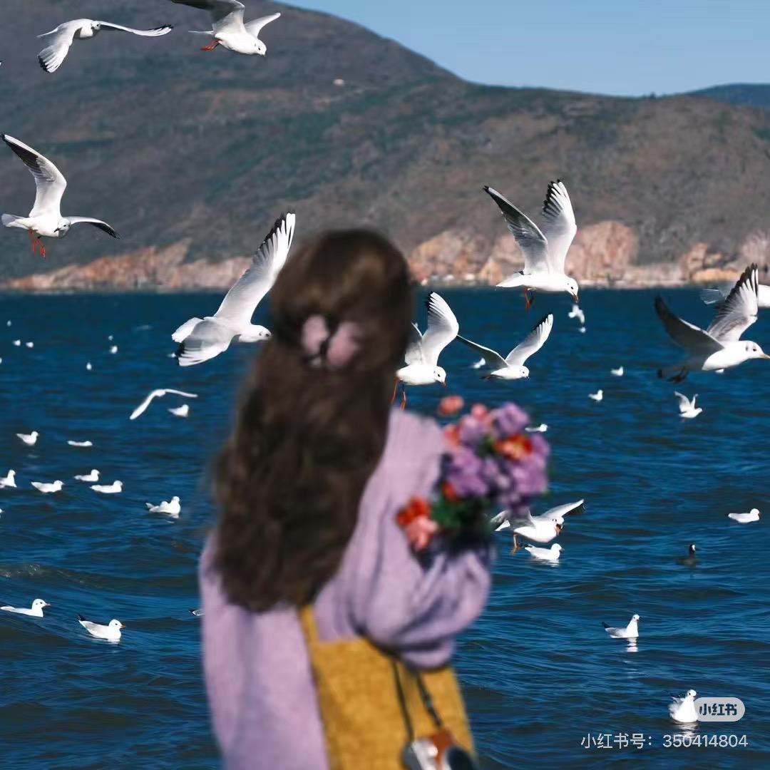 伊伊是仙女🧚‍♀️