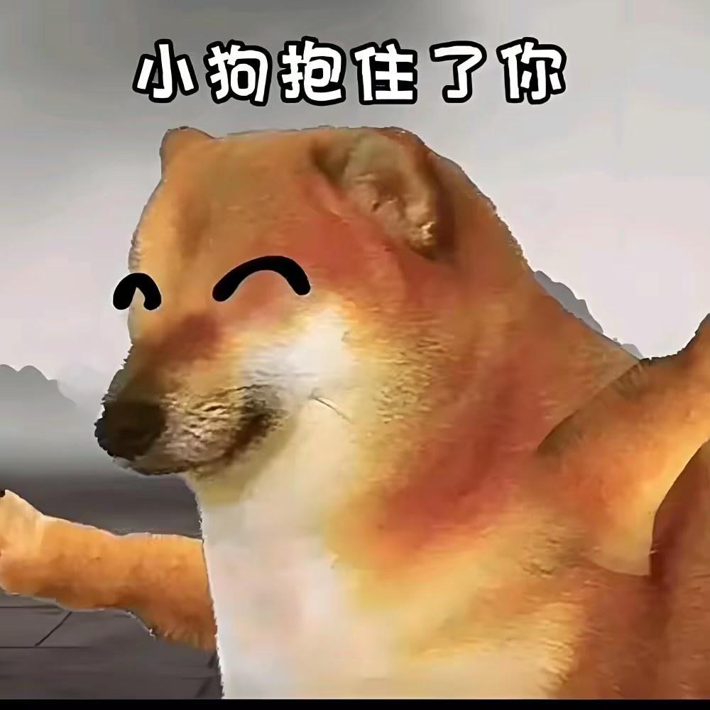 cheems小日常