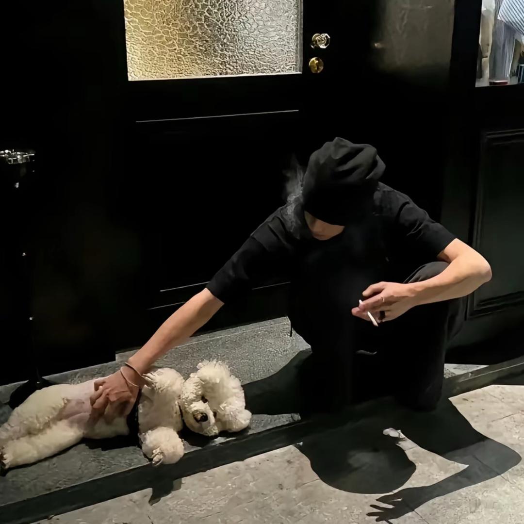等我逢一场春