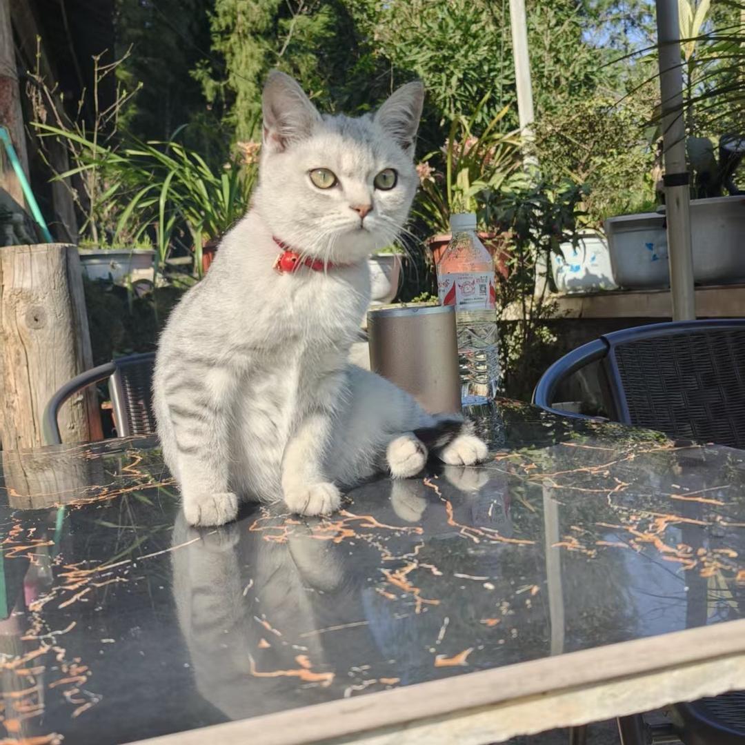梅   梅