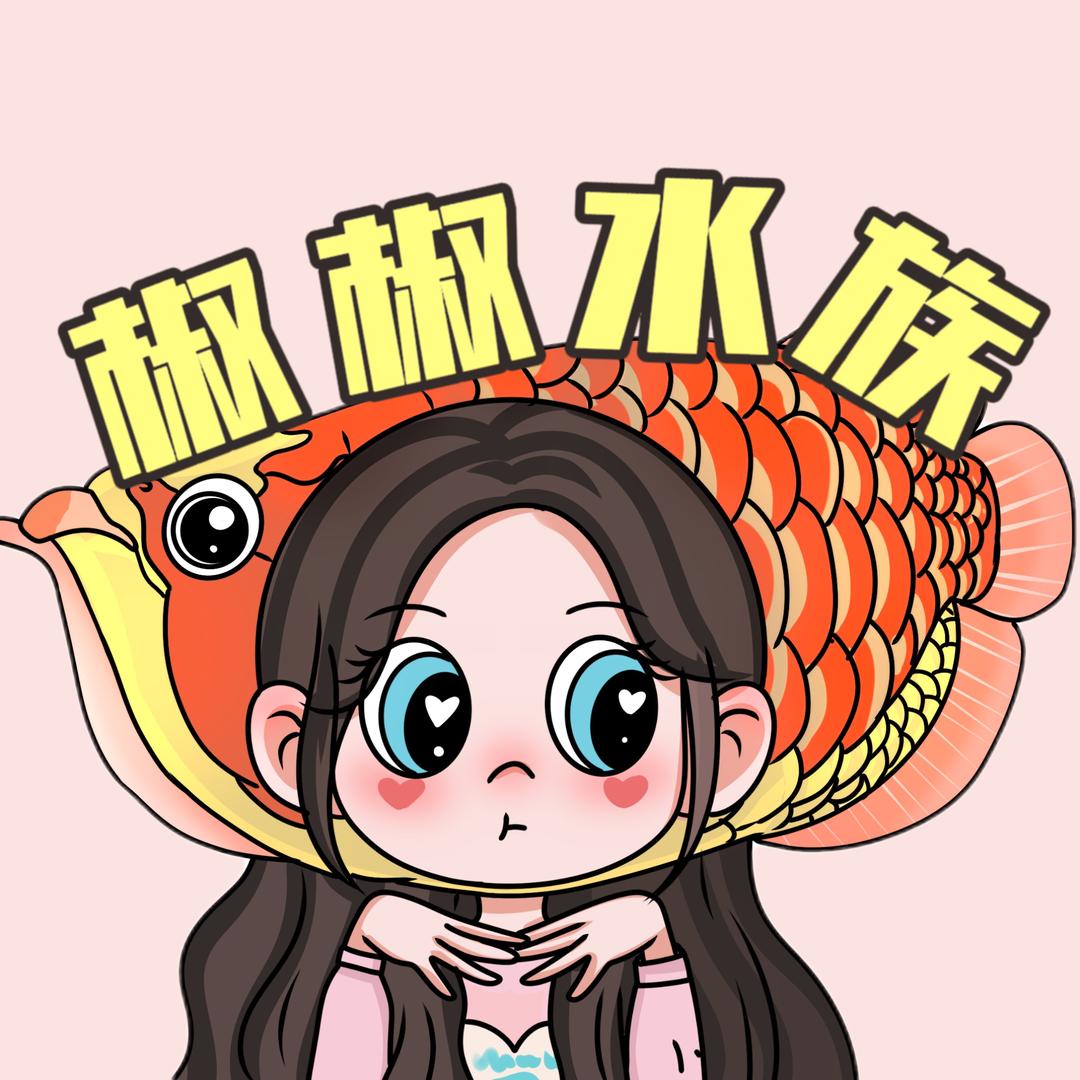 椒椒水族