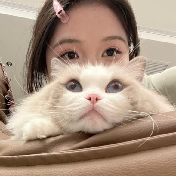 何敏-