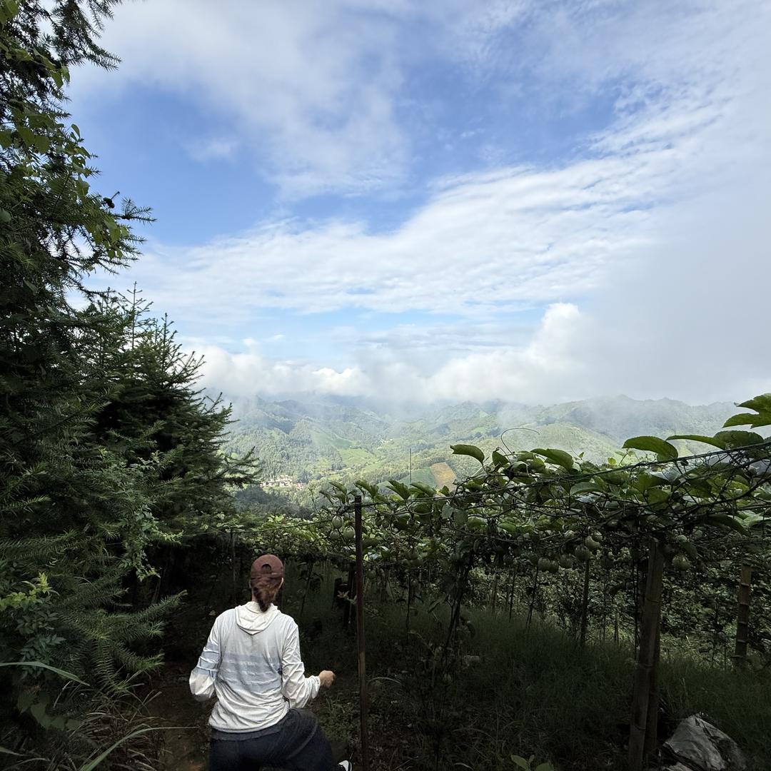 哇塞高山百香果