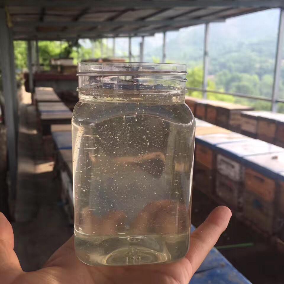 小帅蜂蜜蜂蜜