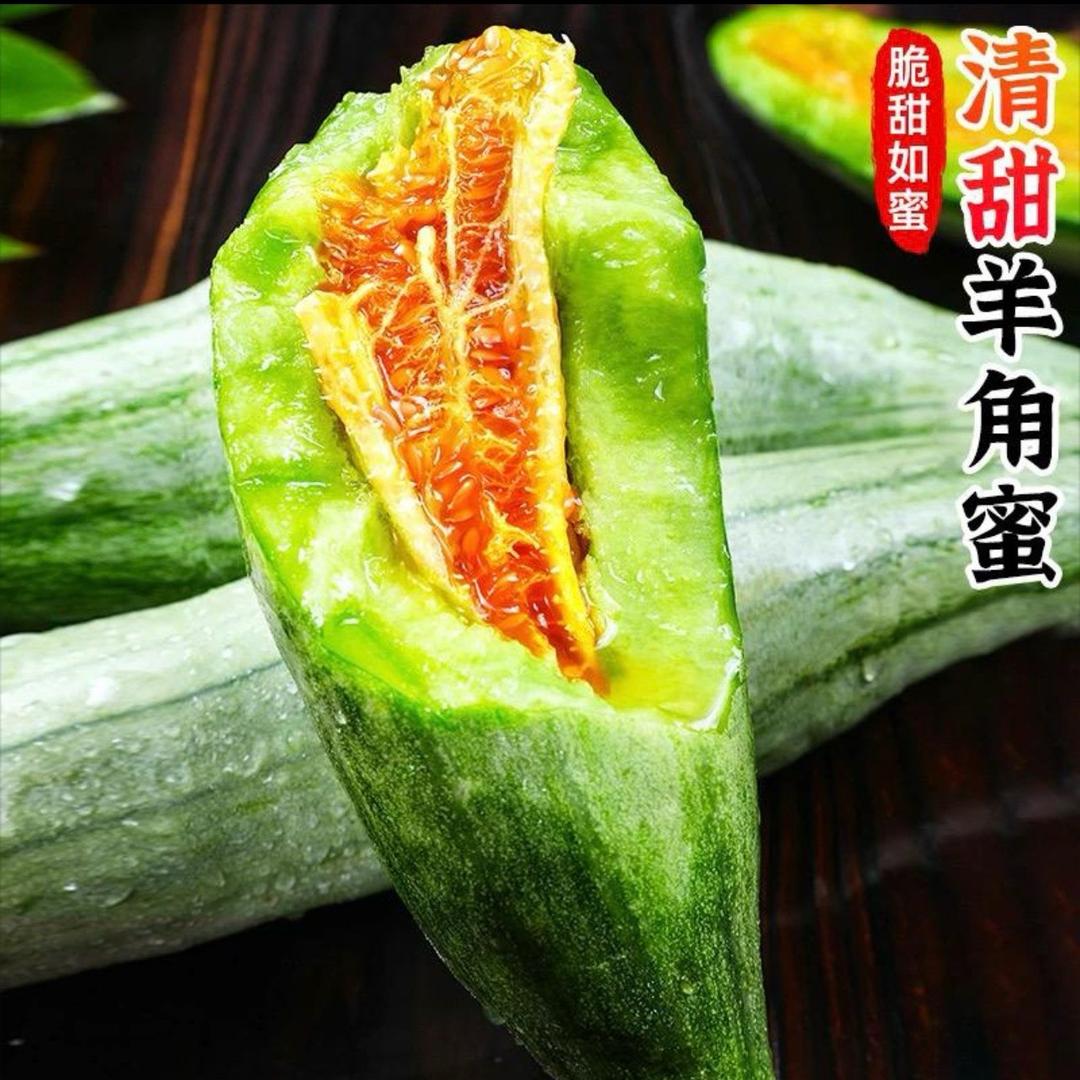 蒲公英脆甜羊角蜜