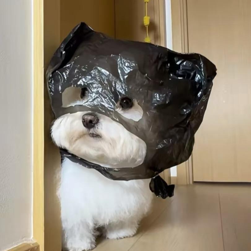 小爱