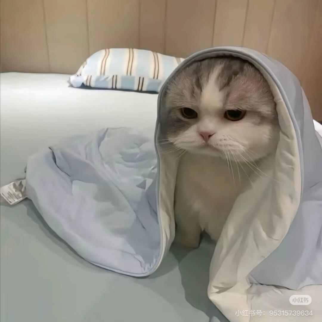 差点长成美女