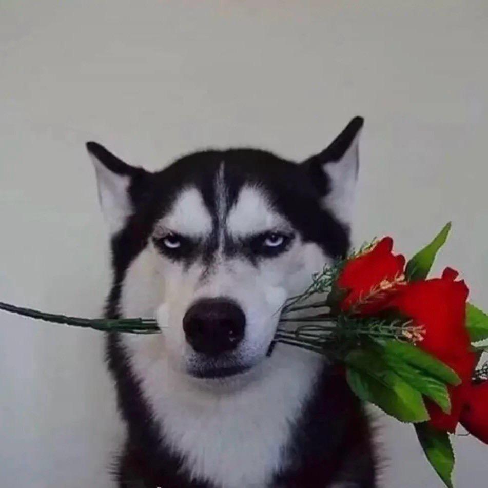 讖