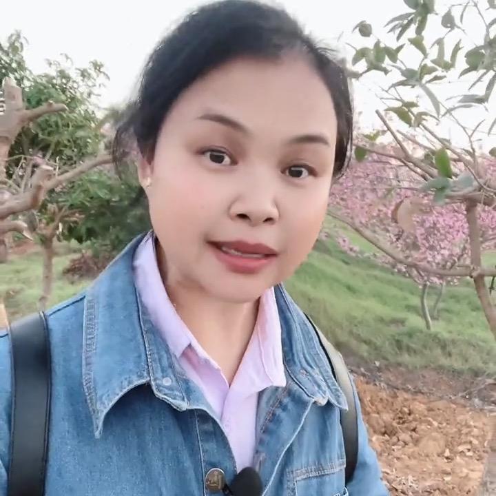 星永宝贝