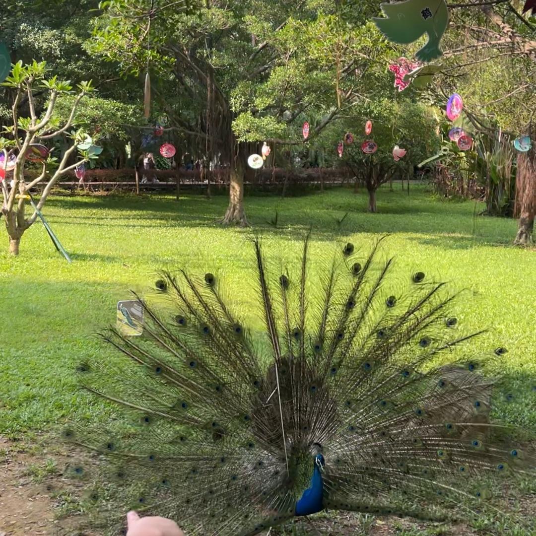 吕包(上善若水)