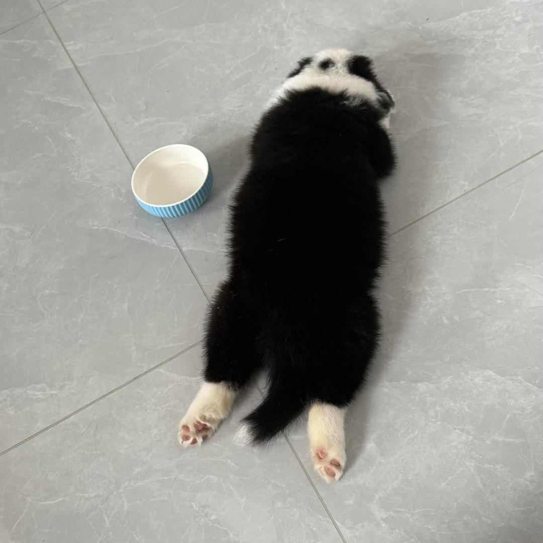 北遇