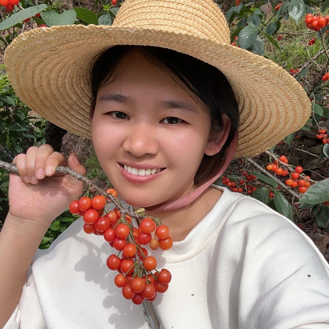 真香小姐