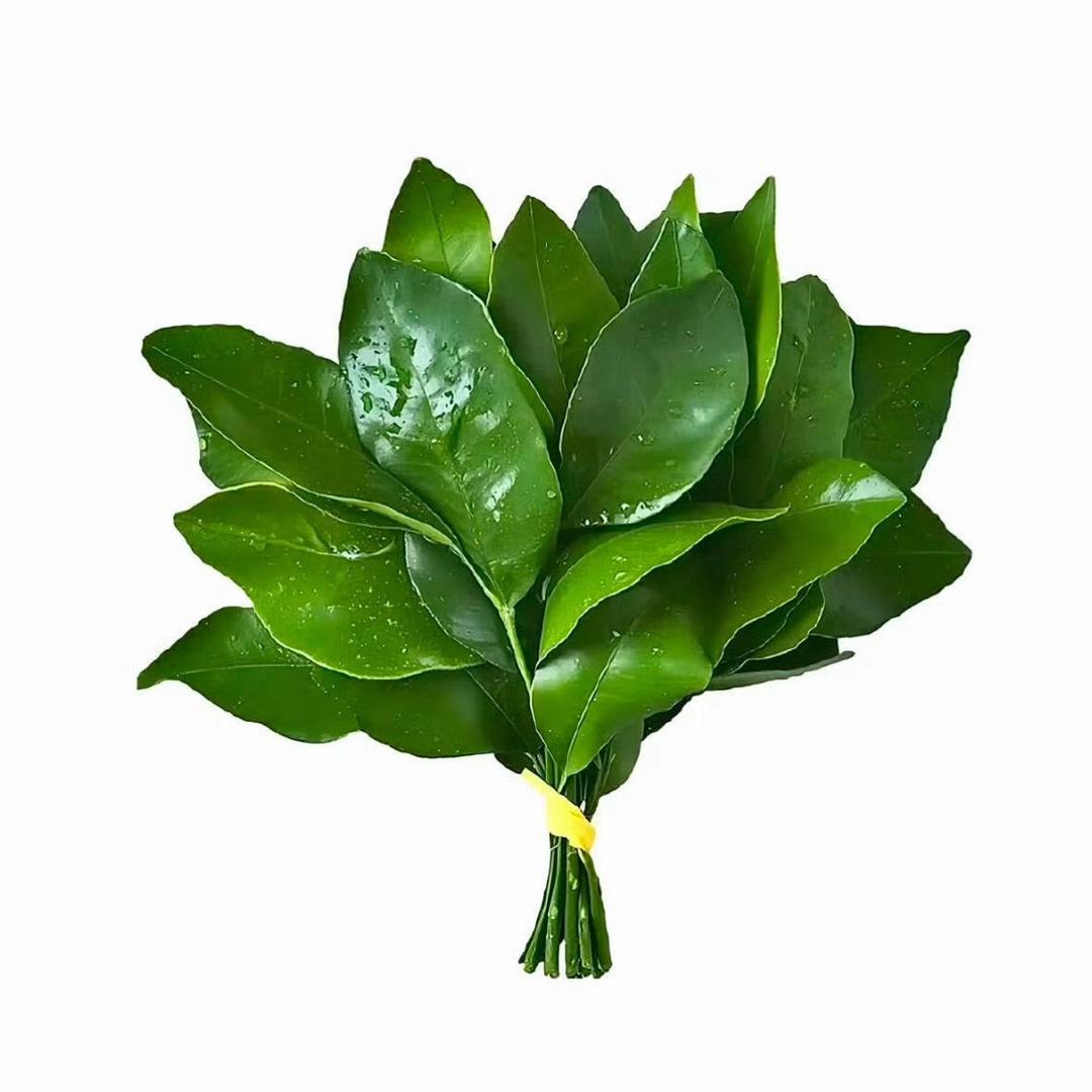 杭漂的然然（变美版）